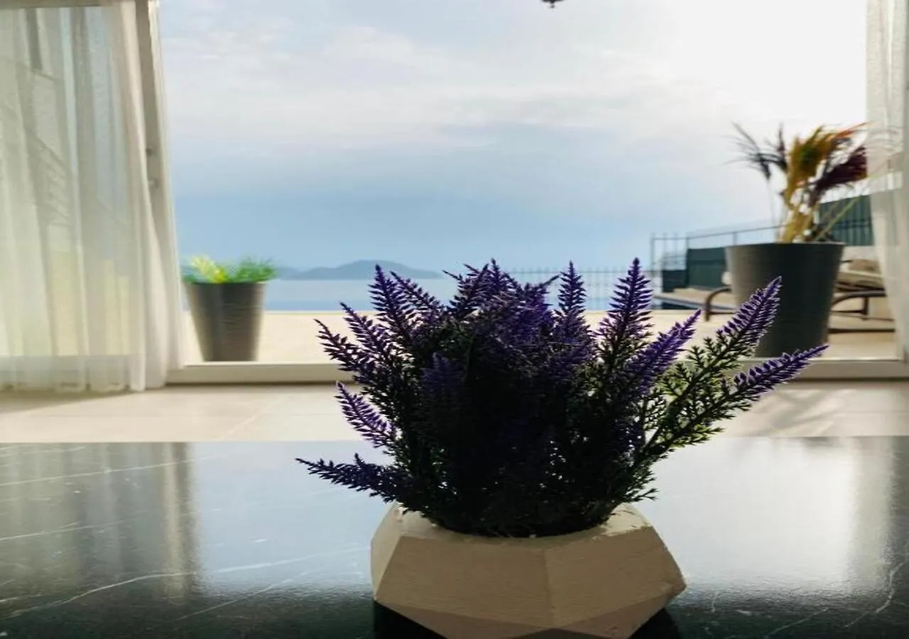 Bodrum Eason Villa & House 350M2 Full Sea View With Private Infinity Pool Turecko