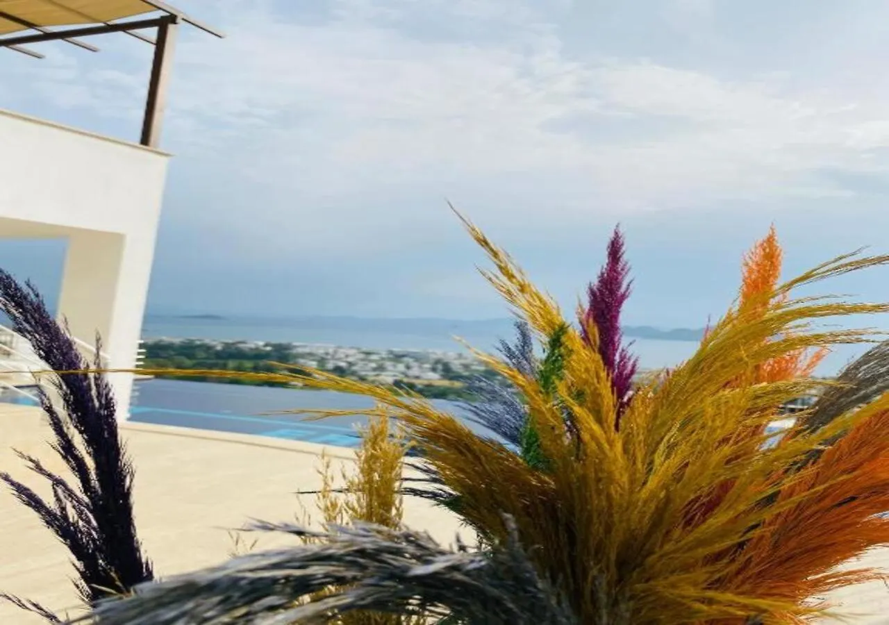 Bodrum Eason Villa & House 350M2 Full Sea View With Private Infinity Pool Turkey